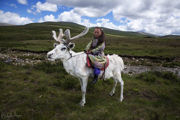 1827016_MongoliaTstaatanreindeerchildrenherdersriding (700x466, 360Kb)