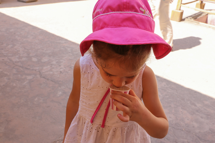 IMG_2689 (700x466, 313Kb)