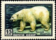 YtSU 1904A Polar Bear    (195x140, 26Kb)