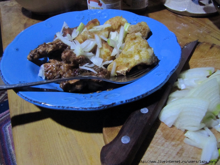 IMG_0014 (700x525, 303Kb)