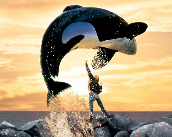 4052581_freewilly19937433681_686_548_70 (686x548, 45Kb)