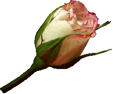 00000000-0 (230x192, 14Kb)