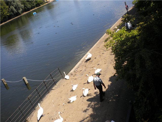 4878453_43 (640x480, 64Kb)