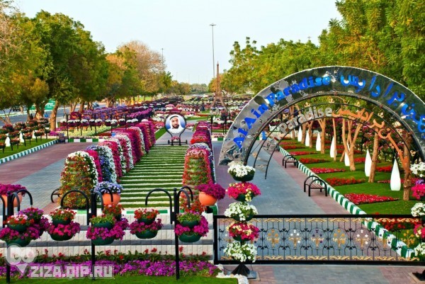    Al Ain Paradise  3 (600x401, 113Kb)