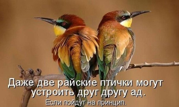 http://img1.liveinternet.ru/images/attach/c/8/99/314/99314235_4278666_1Wmkce2drA.jpg