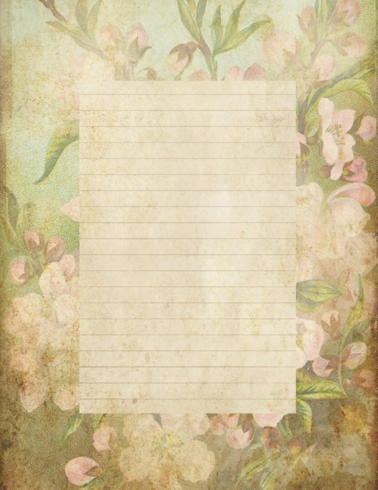 lined page grungy stationary with crabapple blossoms (540x700, 297Kb)