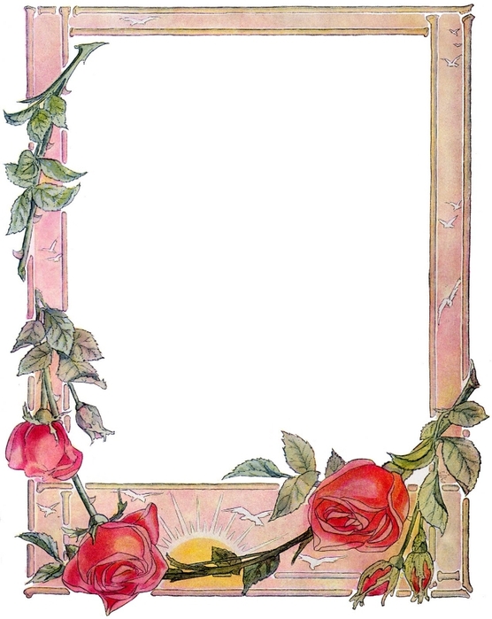 Floral Illustration #12 (556x700, 190Kb)