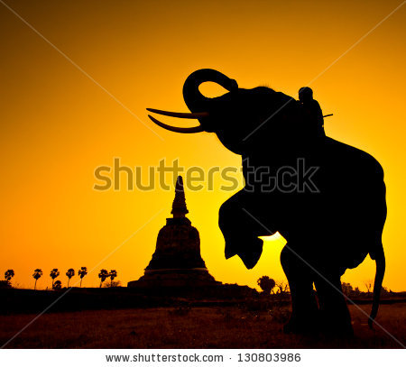 stock-photo-elephant-silhouettes-in-rural-thailand-130803986 (450x407, 37Kb)