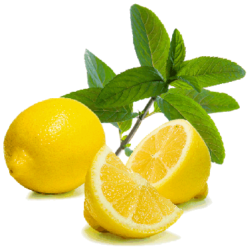 63988772_lemonmint (350x350, 43Kb)