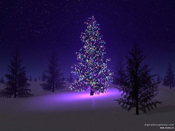 fond-ecran-sapin-de-noel (600x450, 60Kb)