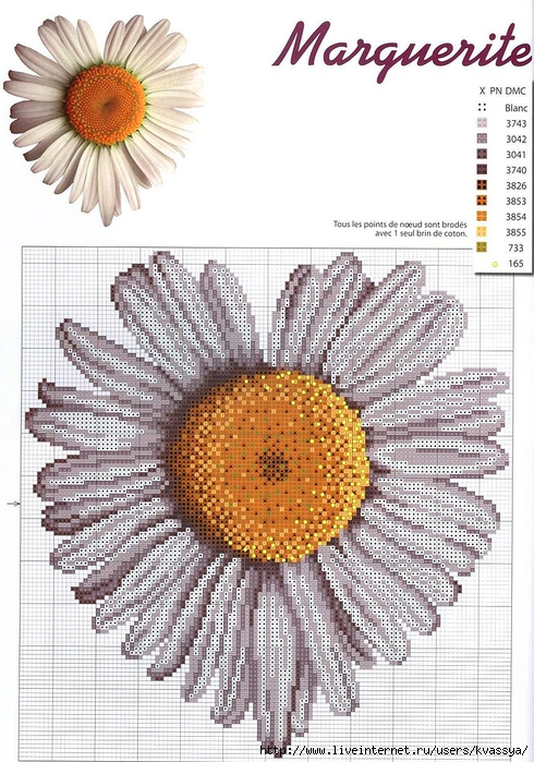 Схема для вышивки ромашки