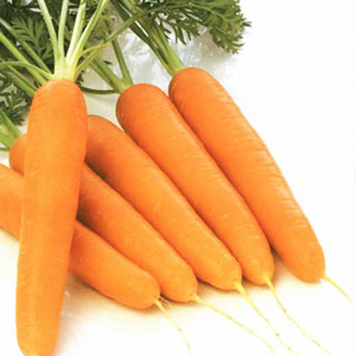 77759025_4278666_carrot4_0 (512x512, 41Kb)