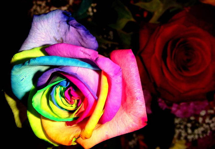 (1) (700x485, 77Kb)