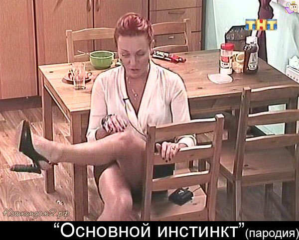 90564286_large_OSNOVNOY_INSTINKT_PARODIYA__copy (600x482, 98Kb)