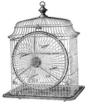  birdcage canary vintage image graphicsfairy2 (431x512, 103Kb)