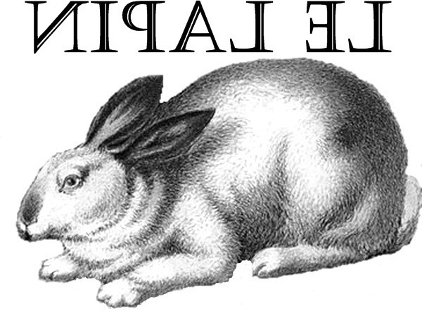 ballard bunny transfer[5] (600x445, 76Kb)