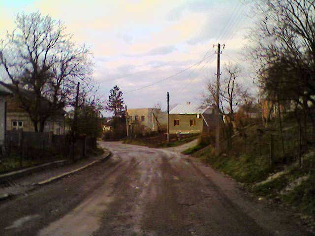4437240_vylicya (640x480, 33Kb)