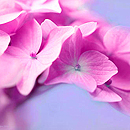 big_fotometki_image_e8df6823 (130x130, 42Kb)