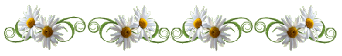 87475987_0_70184_2433ebbe_L (500x83, 27Kb)