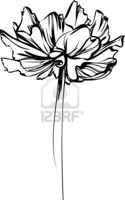 9836099-sketch-of-a-flower-with-large-petals (250x400, 20Kb)