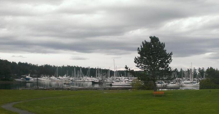 IMAG0911_1 (700x363, 28Kb)