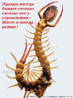 4611276_99555267_large_92012670_Kopiya_89kk1 (250x333, 71Kb)