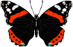 butterfly2-10 (105x68, 2Kb)