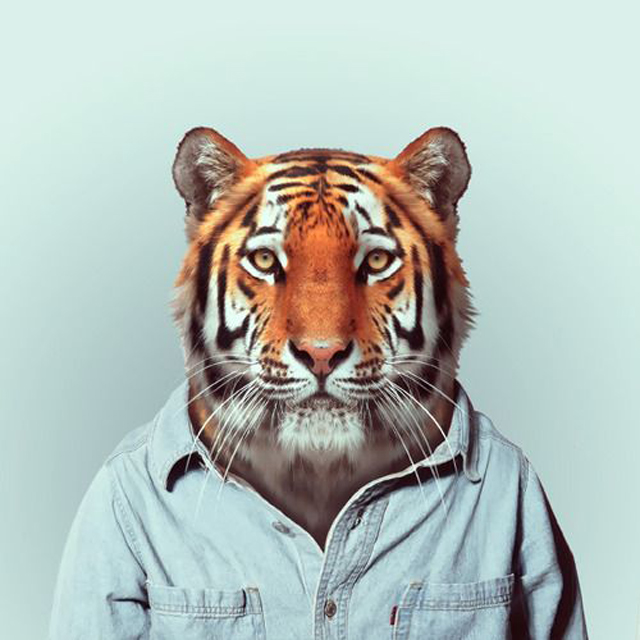 3990814_FashionZooAnimals8_1_ (640x640, 216Kb)