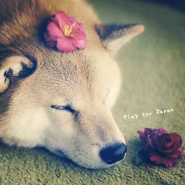      - (600x600, 95Kb)