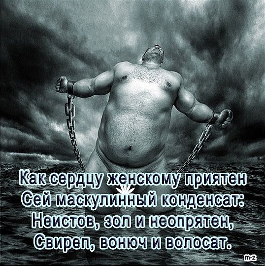 можно картинки про дурных мужиков ходе