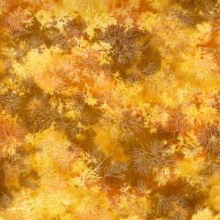 12141-141 saffron (320x320, 58Kb)