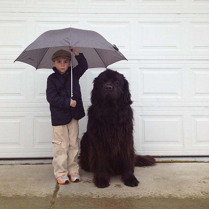 Genuine-Love-Between-a-Little-Boy-and-His-Big-Dog-5 (700x700, 113Kb)