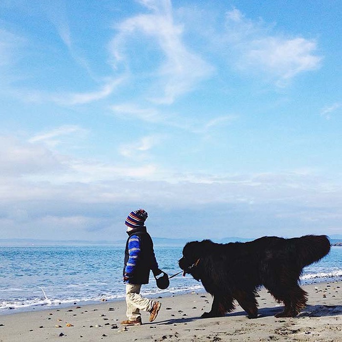 Genuine-Love-Between-a-Little-Boy-and-His-Big-Dog-8 (700x700, 108Kb)