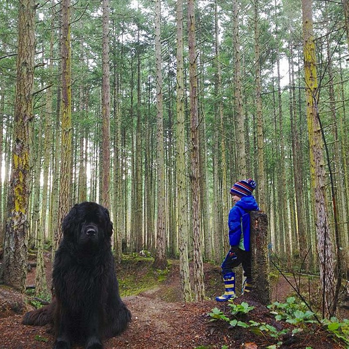Genuine-Love-Between-a-Little-Boy-and-His-Big-Dog-11 (700x700, 251Kb)