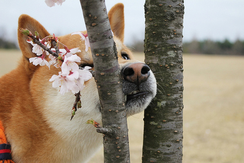 tumblr_ml177uAon21qdi5ayo2_500 (500x334, 102Kb)