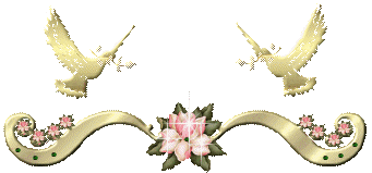 - (341x159, 19Kb)