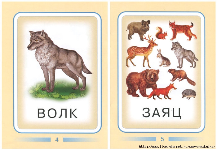 Карточки домашние дикие. Карточки "Дикие животные". Карточки животных для детей. Карточки с животными для малышей. Дикие животные карточки для детей.