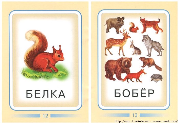 Дети животных названия с картинками для детей. Карточки с животными. Карточки диких животных. Карточки для малышей животные. Карточки с изображением животных для детей.