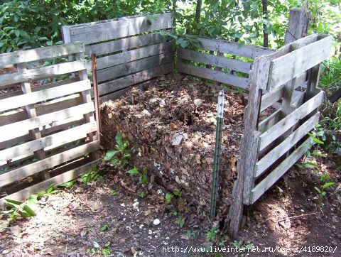 kompost (480x362, 139Kb)