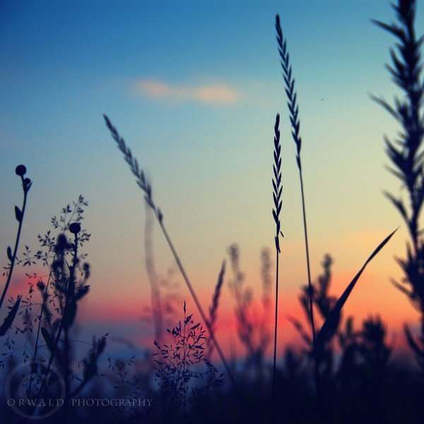 Nt9F-FhvMDE (600x600, 24Kb)