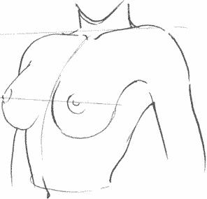 breast01-03 (296x285, 8Kb)