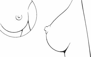 breast07-04 (347x217, 6Kb)