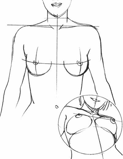 breast08-02 (400x515, 22Kb)