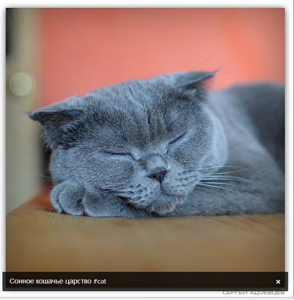  (605x617, 561Kb)