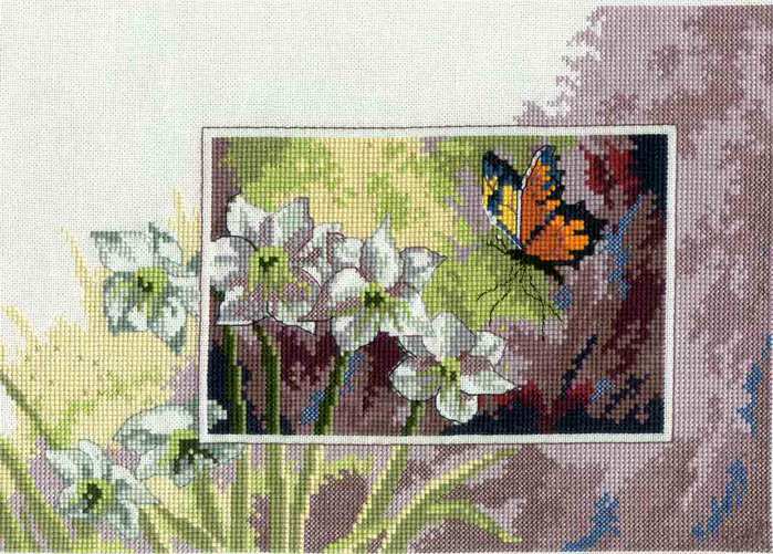 Butterfly & White Flowers 1 (700x501, 74Kb)