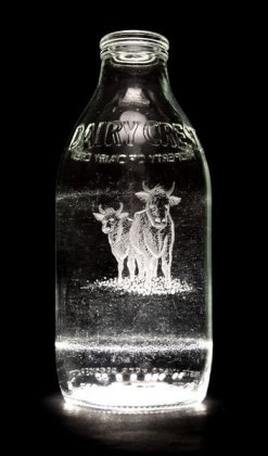 1281460621_1281401995_milk_bottle_art_25 (247x420, 18Kb)