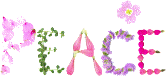 3875523_funzug_com_bful_life_quotes_11 (328x151, 13Kb)