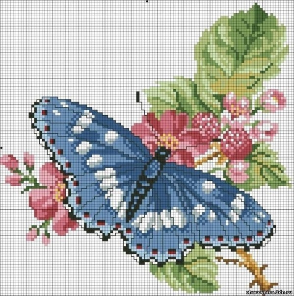 DJlPIj24zxA (599x604, 279Kb)