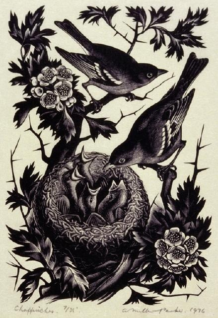 Chaffinches. 1936 (539x740, 255Kb)