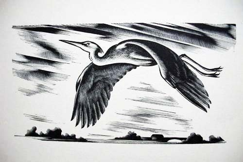 Grey Heron in Flight. 1937 (600x433, 87Kb)
